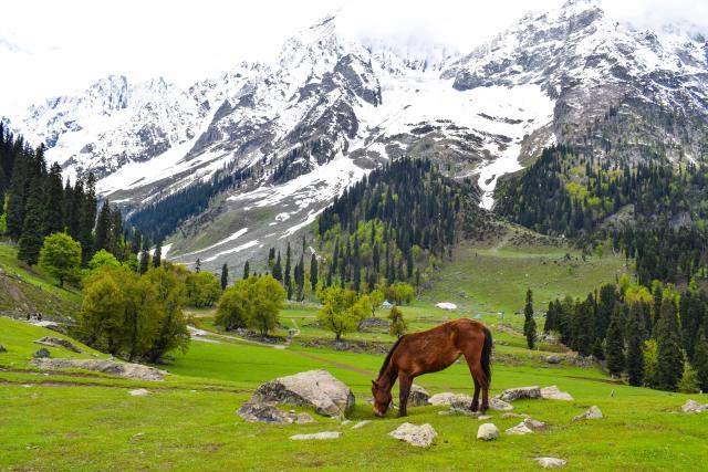 Pahalgam Image