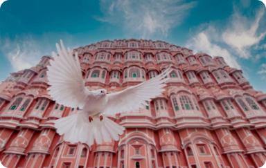 Jaipur